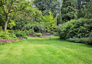 Optimiser l'expérience du jardin à Matour