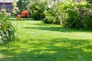 travaux jardin et paysage Matour